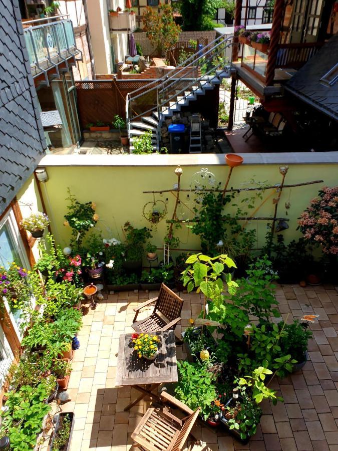 Goldstr.7 Appartement